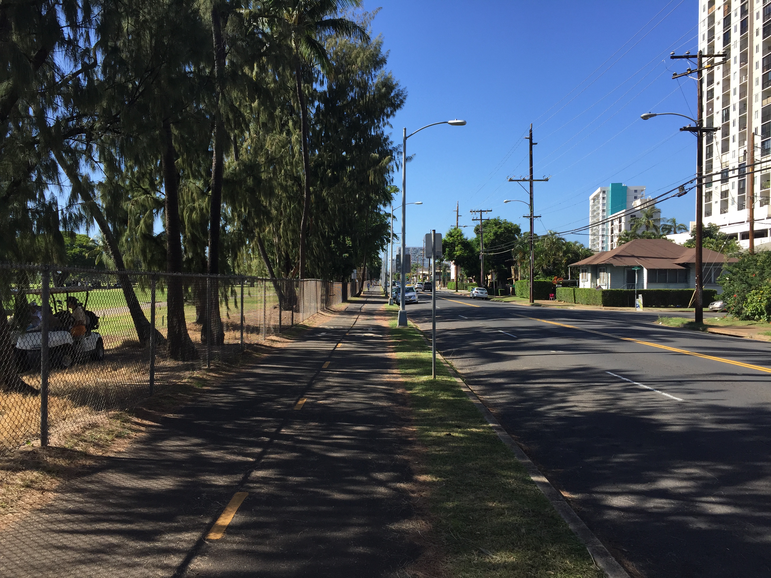 wai young bike lanes