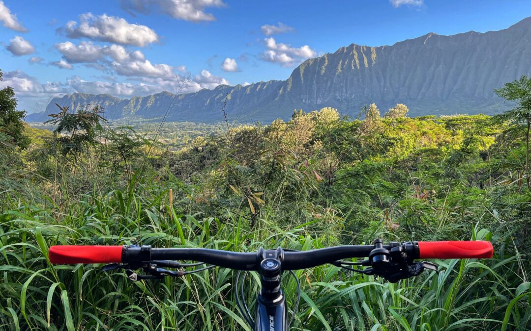 HBL Dirt – Spring 2025 Newsletter